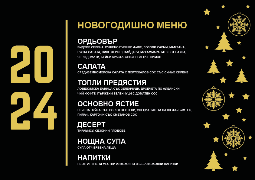 Празнична Нова Година в Одрин 2024